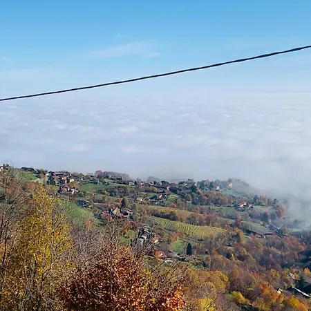 El Torch Di Long Elisa *
